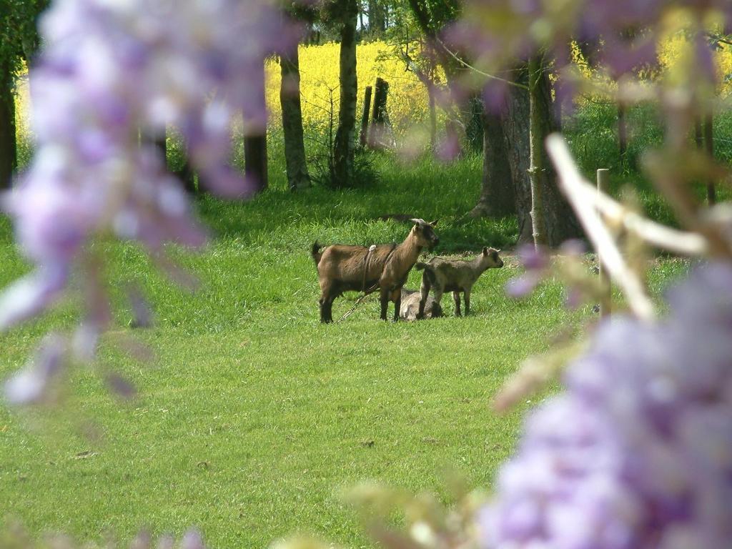 Maison Prairie Bonheur Magny-les-Hameaux Pokój zdjęcie