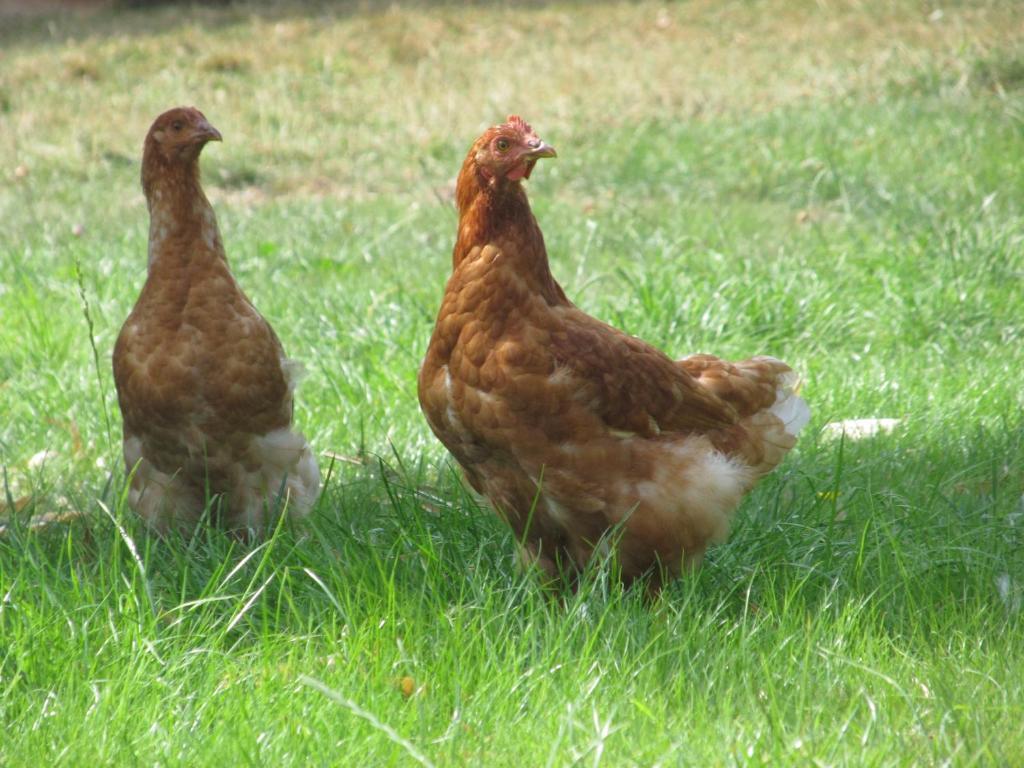 Maison Prairie Bonheur Magny-les-Hameaux Pokój zdjęcie